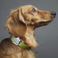 Slide-on-dog-id-tag-with-house-icon